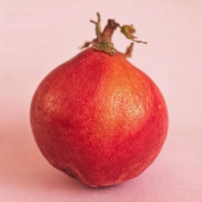 Owocowa elita